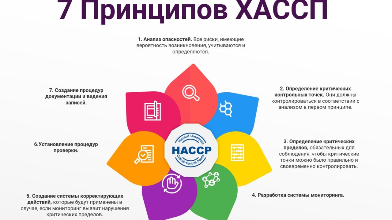 7 принципов ХАССП наглядно